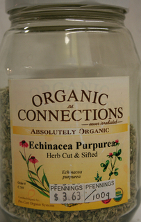Echinacea Purpurea - C/S